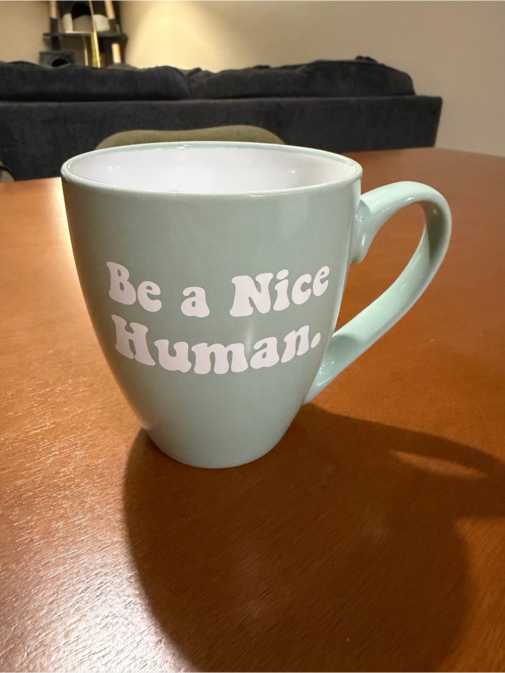 Be a Nice Human Mint Ceramic Mug